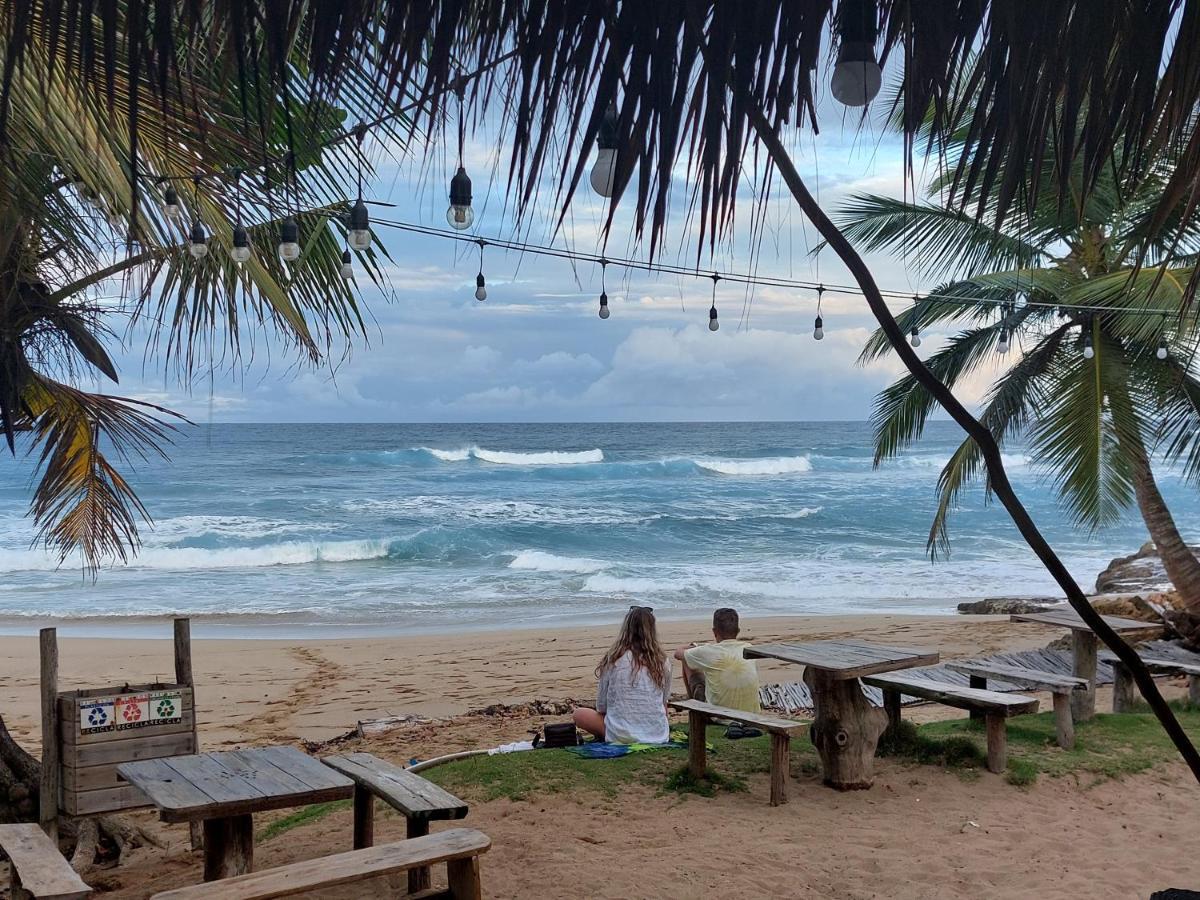 Cabarete Maravilla Eco Lodge Boutique Beach Surf Encuentro, Kite, By Aa Crypto Group Exterior foto