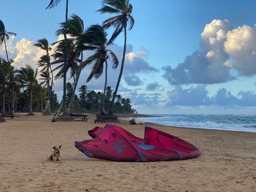 Cabarete Maravilla Eco Lodge Boutique Beach Surf Encuentro, Kite, By Aa Crypto Group Exterior foto