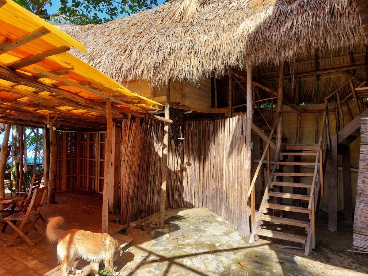 Cabarete Maravilla Eco Lodge Boutique Beach Surf Encuentro, Kite, By Aa Crypto Group Exterior foto