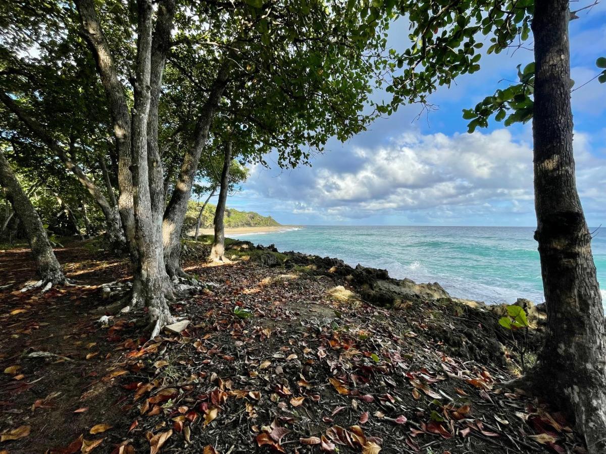 Cabarete Maravilla Eco Lodge Boutique Beach Surf Encuentro, Kite, By Aa Crypto Group Exterior foto