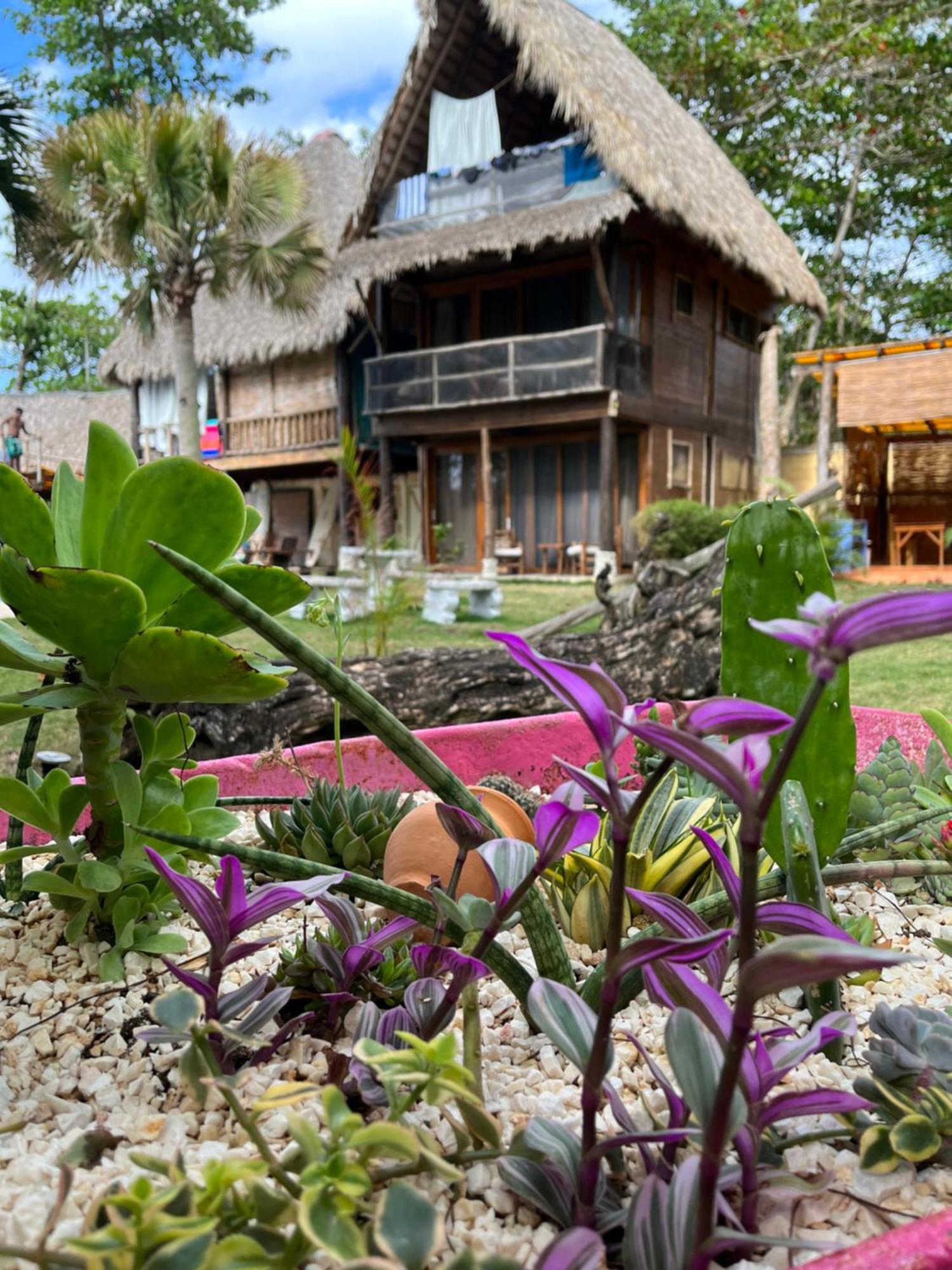 Cabarete Maravilla Eco Lodge Boutique Beach Surf Encuentro, Kite, By Aa Crypto Group Exterior foto